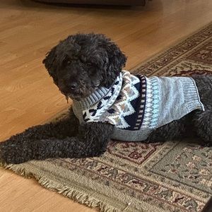 Meet your Posher, Leanora